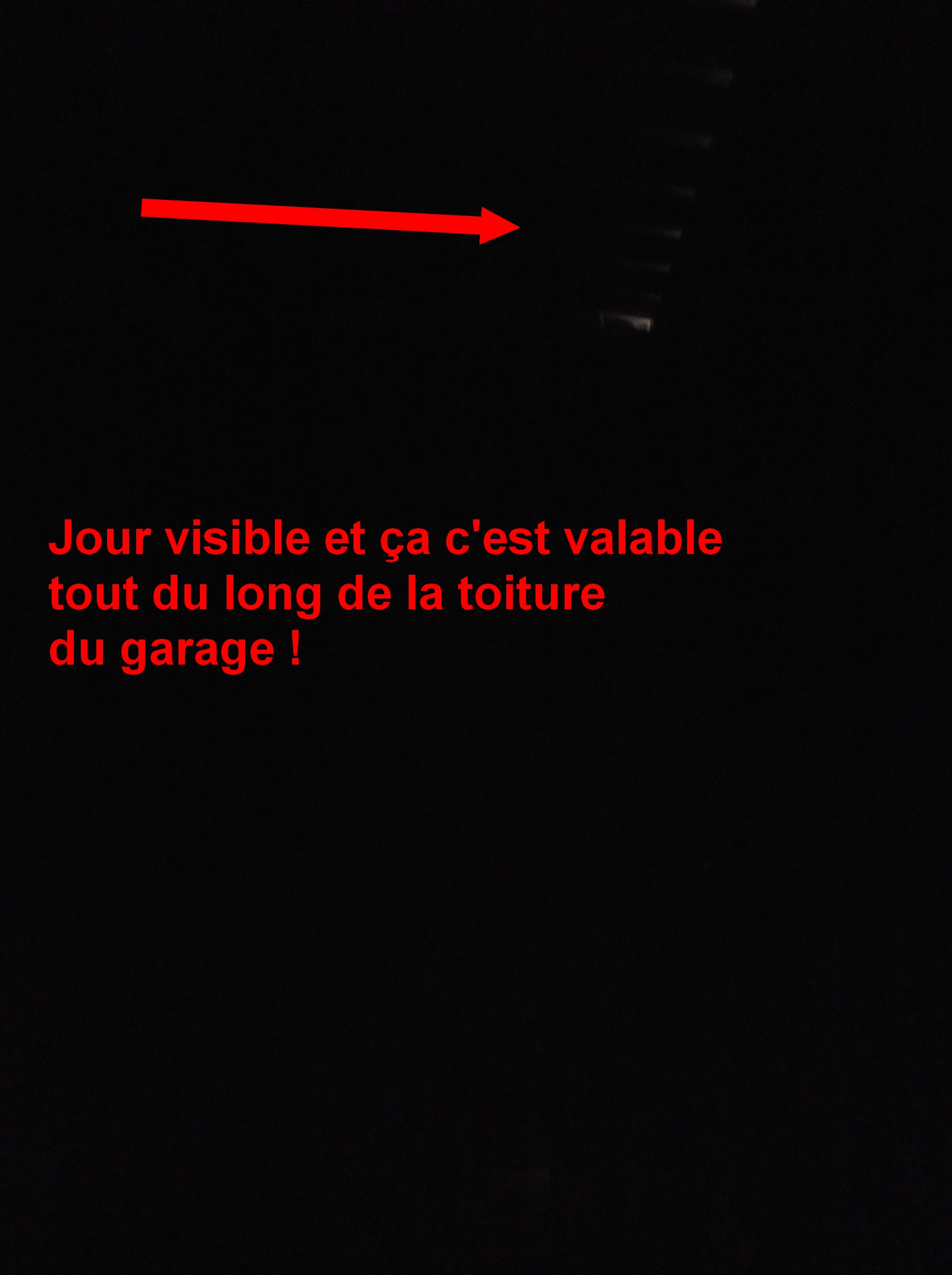 DSCF0217